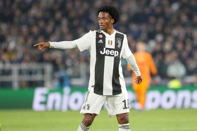 區徘徊的馬 區徘徊的馬