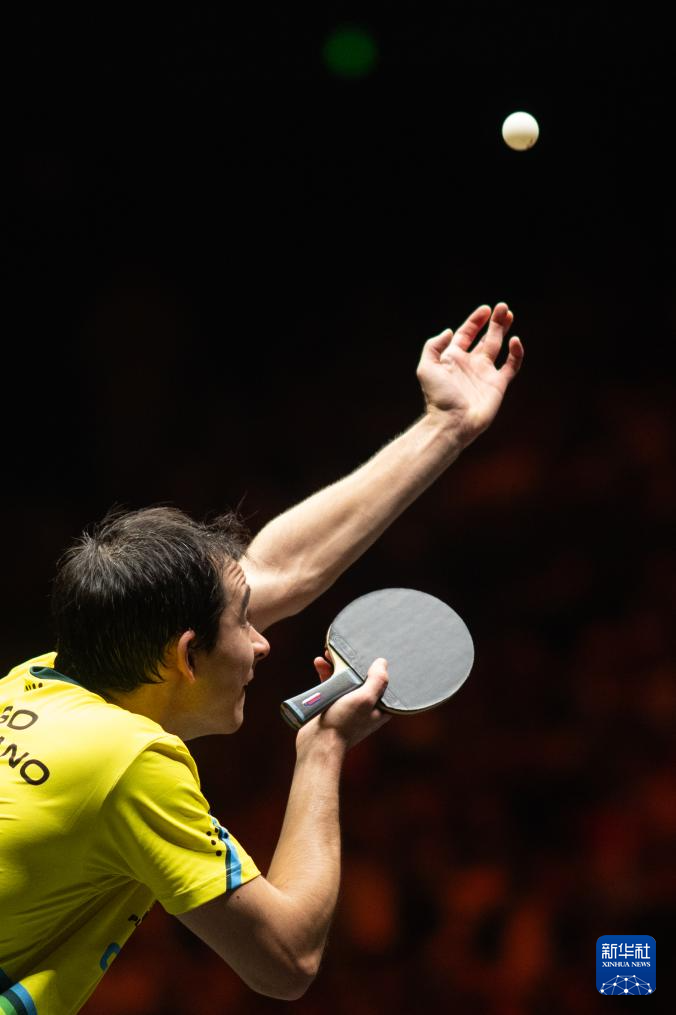 赛场的气氛 赛场的气氛