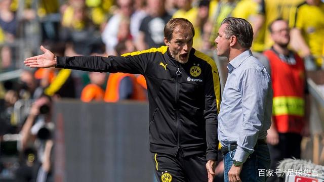 培养的循环 培养的循环